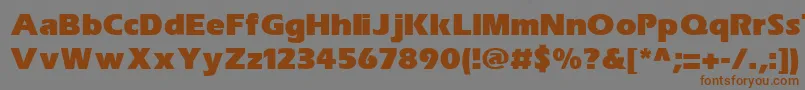 Шрифт SpeedoBlackSsiExtraBold – коричневые шрифты на сером фоне
