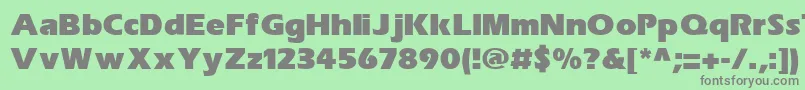 SpeedoBlackSsiExtraBold Font – Gray Fonts on Green Background