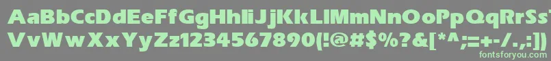 SpeedoBlackSsiExtraBold-Schriftart – Grüne Schriften auf grauem Hintergrund
