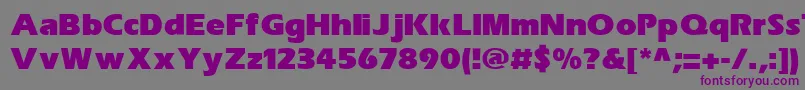 SpeedoBlackSsiExtraBold Font – Purple Fonts on Gray Background