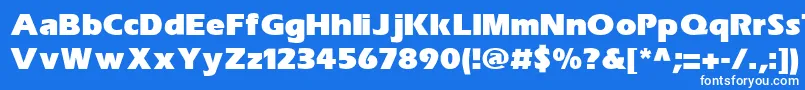 SpeedoBlackSsiExtraBold Font – White Fonts on Blue Background