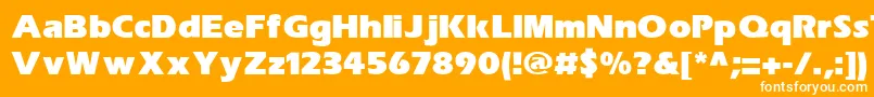 SpeedoBlackSsiExtraBold Font – White Fonts on Orange Background