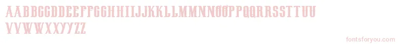 HenryrodeocircusDemo Font – Pink Fonts on White Background