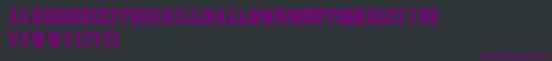 HenryrodeocircusDemo Font – Purple Fonts on Black Background