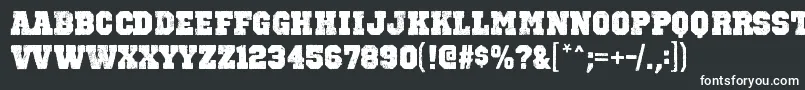 フォントOctinvintagebblRegular – 黒い背景に白い文字