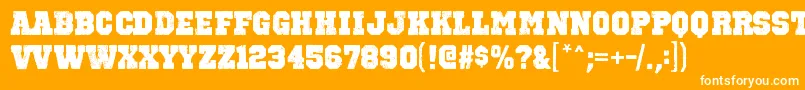 OctinvintagebblRegular Font – White Fonts on Orange Background