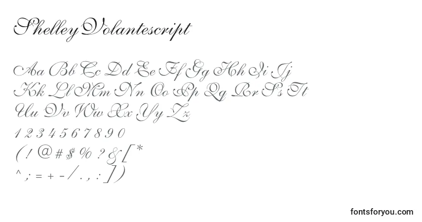 Шрифт ShelleyVolantescript – алфавит, цифры, специальные символы