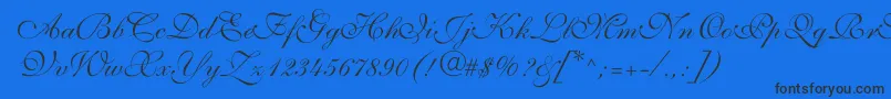 ShelleyVolantescript Font – Black Fonts on Blue Background