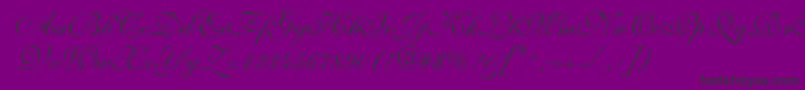 Fonte ShelleyVolantescript – fontes pretas em um fundo violeta