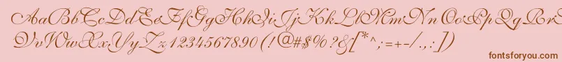 fuente ShelleyVolantescript – Fuentes Marrones Sobre Fondo Rosa