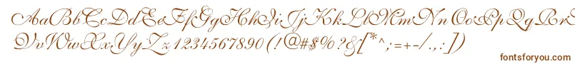 ShelleyVolantescript-fontti – ruskeat fontit valkoisella taustalla