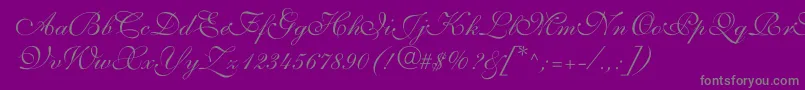 Police ShelleyVolantescript – polices grises sur fond violet