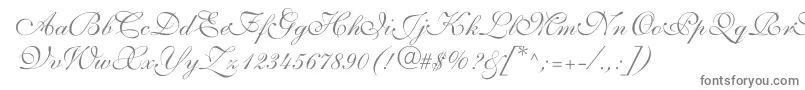 ShelleyVolantescript-Schriftart – Graue Schriften