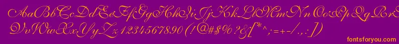 fuente ShelleyVolantescript – Fuentes Naranjas Sobre Fondo Morado