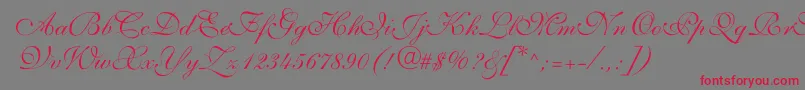 Czcionka ShelleyVolantescript – czerwone czcionki na szarym tle