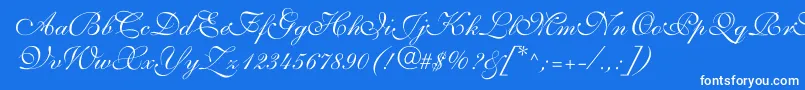 fuente ShelleyVolantescript – Fuentes Blancas Sobre Fondo Azul