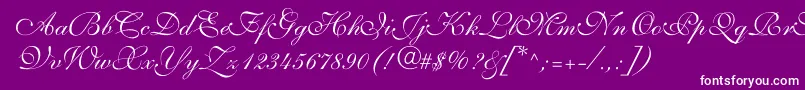 ShelleyVolantescript-fontti – valkoiset fontit violetilla taustalla