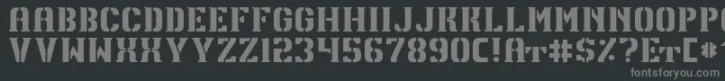 TpfU13 Font – Gray Fonts on Black Background