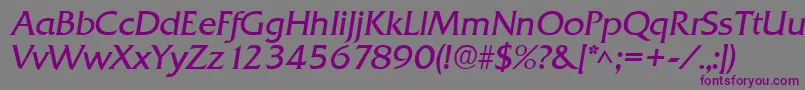 Шрифт QuadratItalic – фиолетовые шрифты на сером фоне
