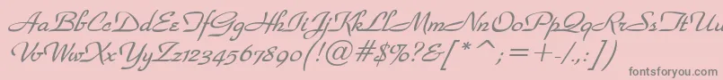 WaldorfscriptBolditalic Font – Gray Fonts on Pink Background