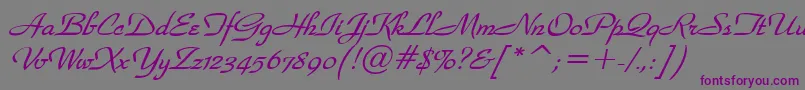 フォントWaldorfscriptBolditalic – 紫色のフォント、灰色の背景