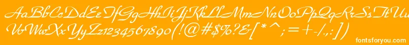 fuente WaldorfscriptBolditalic – Fuentes Blancas Sobre Fondo Naranja