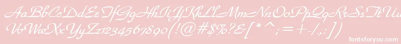 WaldorfscriptBolditalic-Schriftart – Weiße Schriften auf rosa Hintergrund