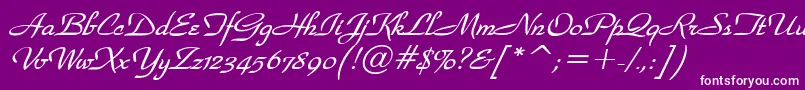 WaldorfscriptBolditalic-Schriftart – Weiße Schriften auf violettem Hintergrund