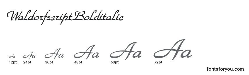WaldorfscriptBolditalic Font Sizes