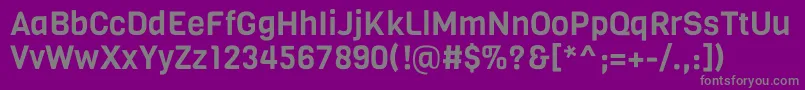 VigaRegular Font – Gray Fonts on Purple Background