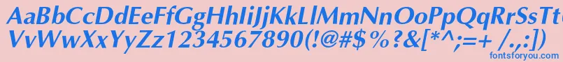OptimalcBolditalic Font – Blue Fonts on Pink Background