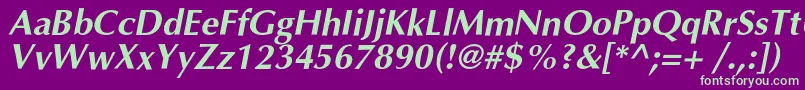 OptimalcBolditalic Font – Green Fonts on Purple Background