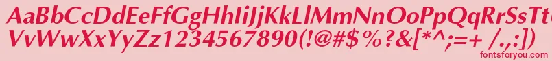 OptimalcBolditalic Font – Red Fonts on Pink Background