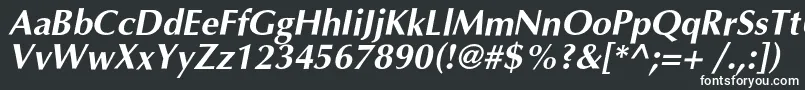 OptimalcBolditalic Font – White Fonts
