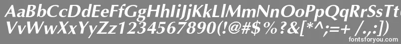 フォントOptimalcBolditalic – 灰色の背景に白い文字