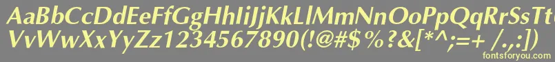 OptimalcBolditalic Font – Yellow Fonts on Gray Background