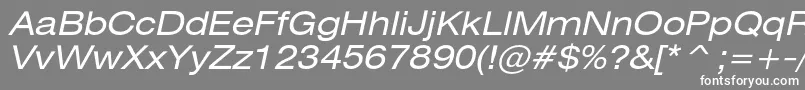 HeliosextcItalic Font – White Fonts on Gray Background