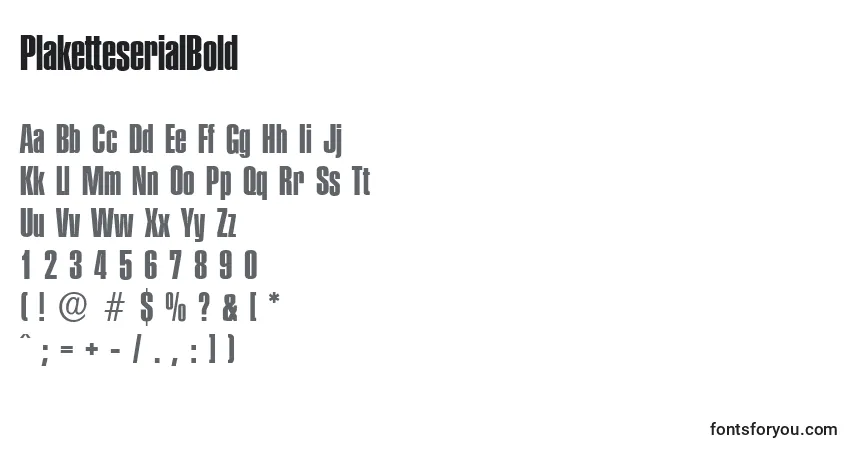 Czcionka PlaketteserialBold – alfabet, cyfry, specjalne znaki