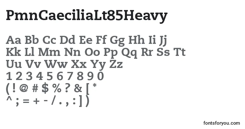 Czcionka PmnCaeciliaLt85Heavy – alfabet, cyfry, specjalne znaki