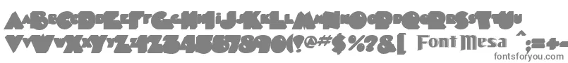 フォントTimepiece ffy – 白い背景に灰色の文字