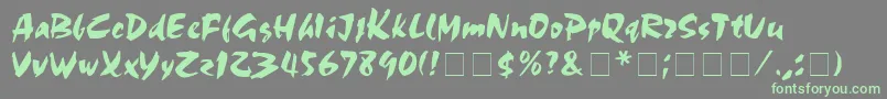 MarkerBoardDisplaySsi Font – Green Fonts on Gray Background