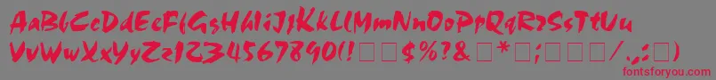 MarkerBoardDisplaySsi Font – Red Fonts on Gray Background