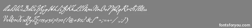 P22grosvenor Font – White Fonts on Gray Background