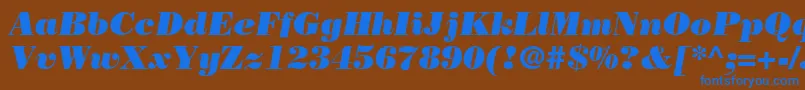 BodoniPosterSsiPosterItalic-fontti – siniset fontit ruskealla taustalla