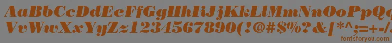 BodoniPosterSsiPosterItalic-Schriftart – Braune Schriften auf grauem Hintergrund
