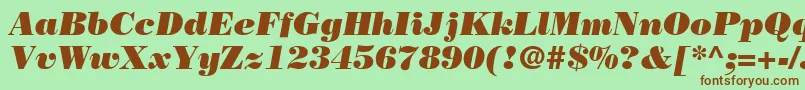 BodoniPosterSsiPosterItalic Font – Brown Fonts on Green Background