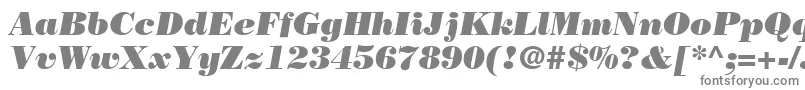 BodoniPosterSsiPosterItalic-fontti – harmaat fontit