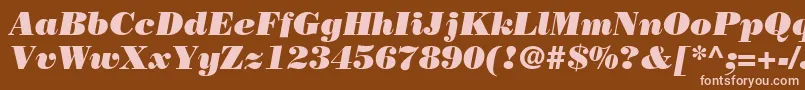 Czcionka BodoniPosterSsiPosterItalic – różowe czcionki na brązowym tle