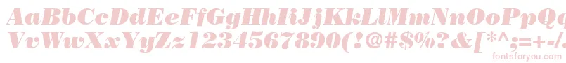 BodoniPosterSsiPosterItalic Font – Pink Fonts on White Background