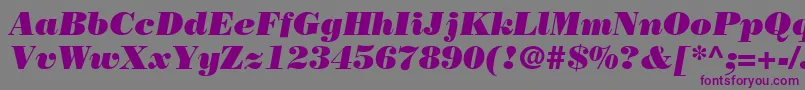 BodoniPosterSsiPosterItalic Font – Purple Fonts on Gray Background